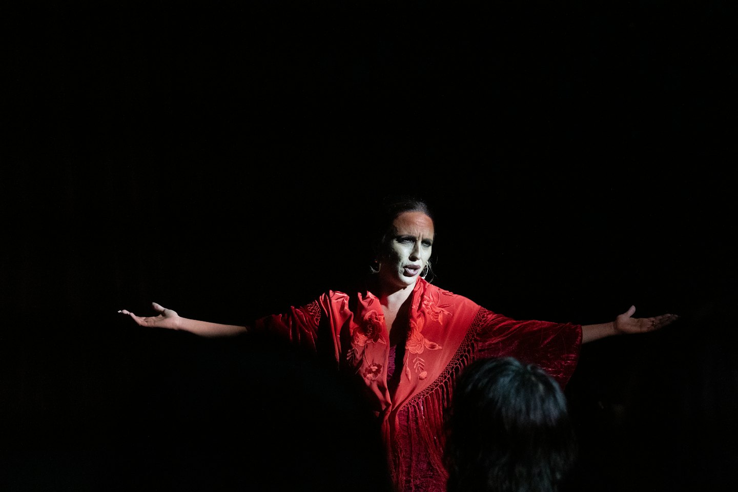 Performer in a red fringed shawl stands on stage.